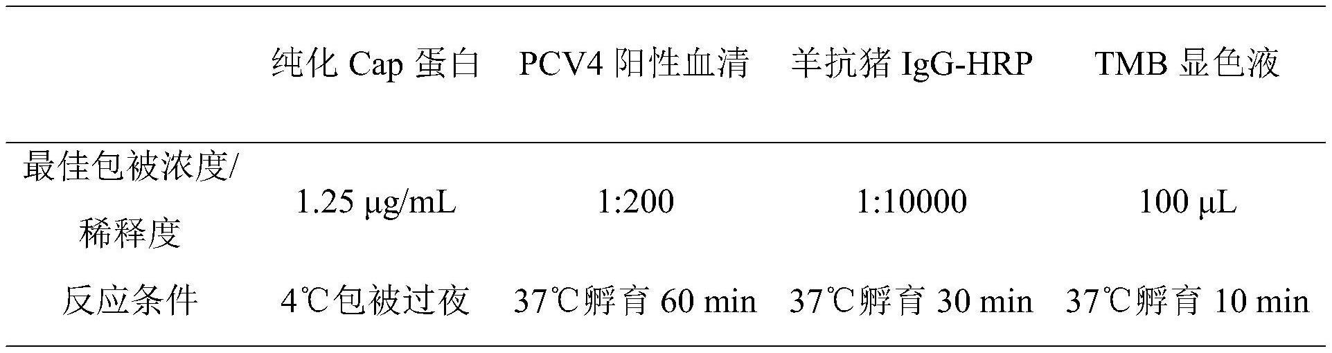 猪圆环病毒4型