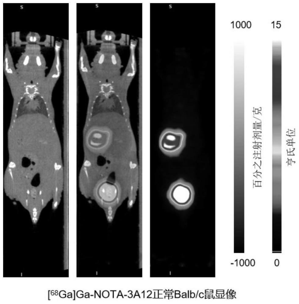 Claudin18.2特异性分子影像探针及其制备方法和应用