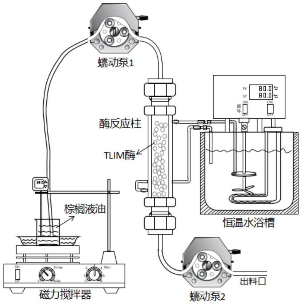 一种油脂组合物及其制备方法和用途