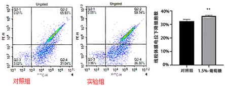 一种线粒体功能损伤评价胁迫条件下斑马鱼幼鱼发育毒性的方法与流程