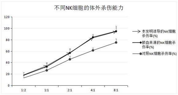 一种hiPSCs诱导分化为NK细胞的方法与流程