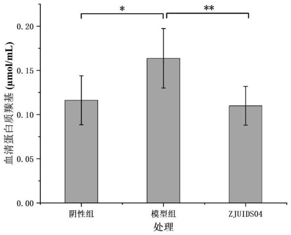 具有抗衰老功效的食品源植物乳杆菌ZJUIDS04的应用