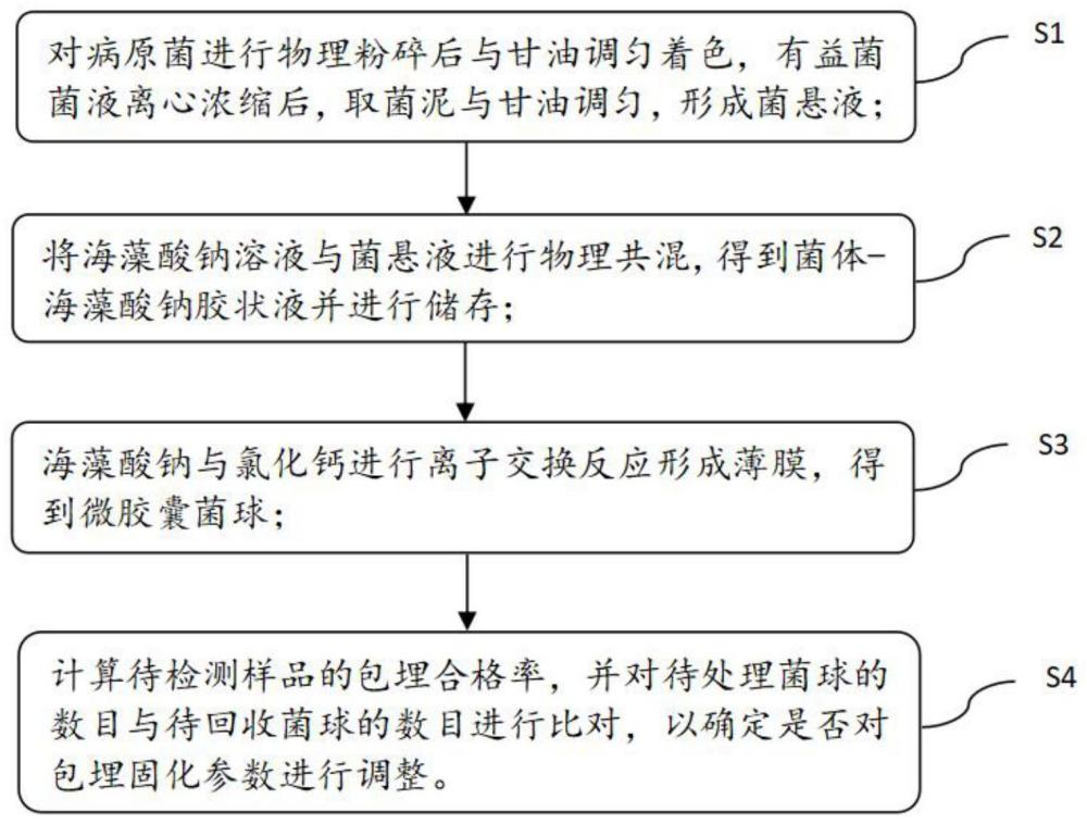 一种生物抗病产品的制备和应用的制作方法