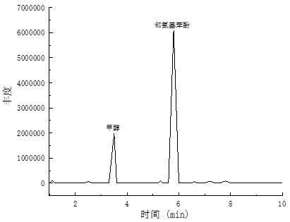 一种连续催化加氢制备邻氨基苯酚的方法与流程