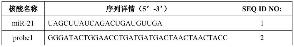 一种核酸等温检测方法