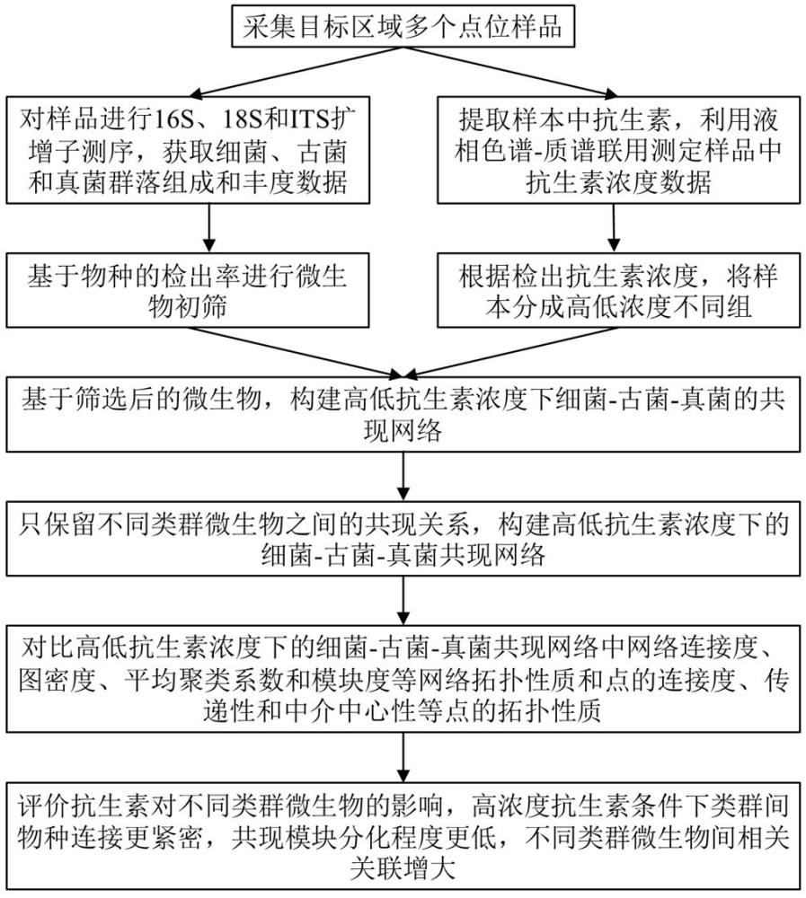 基于细菌-古菌-真菌共现网络评价抗生素生态效应的方法