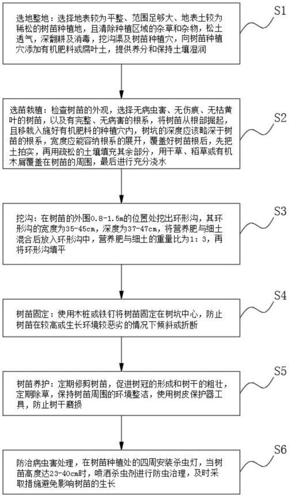 一种农业树苗种植的栽培方法与流程