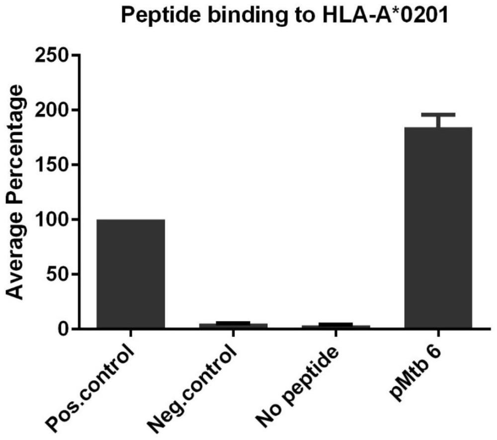 结核分枝杆菌特异性T细胞HLA-A*0201限制性表位肽及其应用