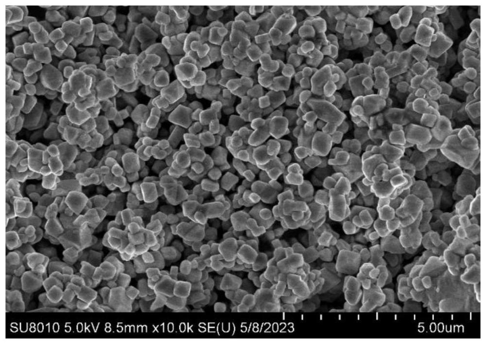 一种类单晶富锂锰基正极材料及其制备方法和应用与流程