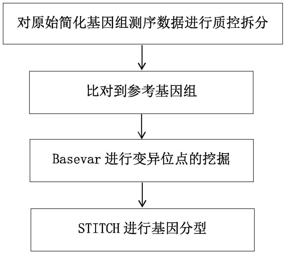 一种基于定向基因组测序获取全基因组SNP位点的方法