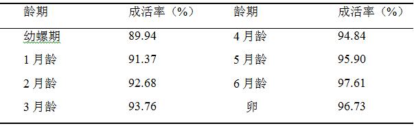 一种条华蜗牛的室内人工饲养方法