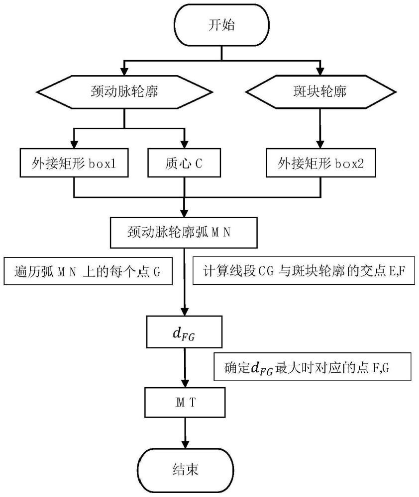 颈动脉内中膜厚度的自动测量方法与流程