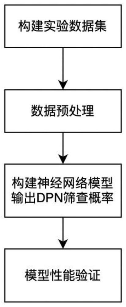 基于PPG信号和深度学习算法的DPN筛查模型的构建方法与流程