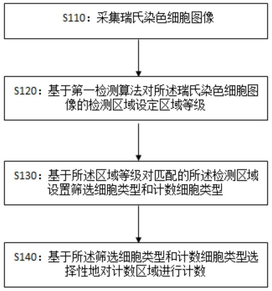 一种外周血细胞影像智能识别方式、装置及储存介质