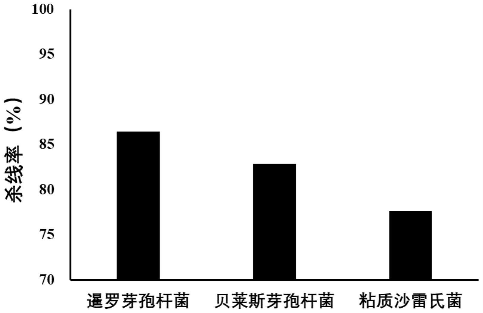 暹罗芽孢杆菌