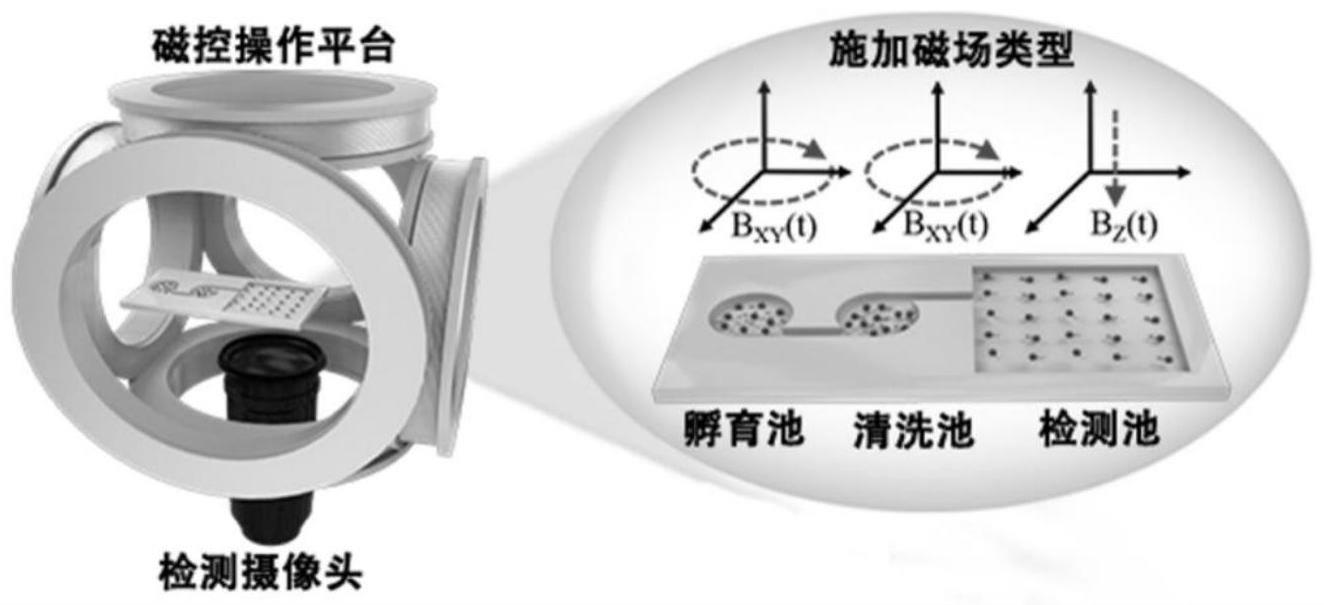 一种单分子均相发光检测系统及检测方法