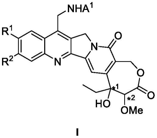 一种高喜树碱类小分子及其应用的制作方法