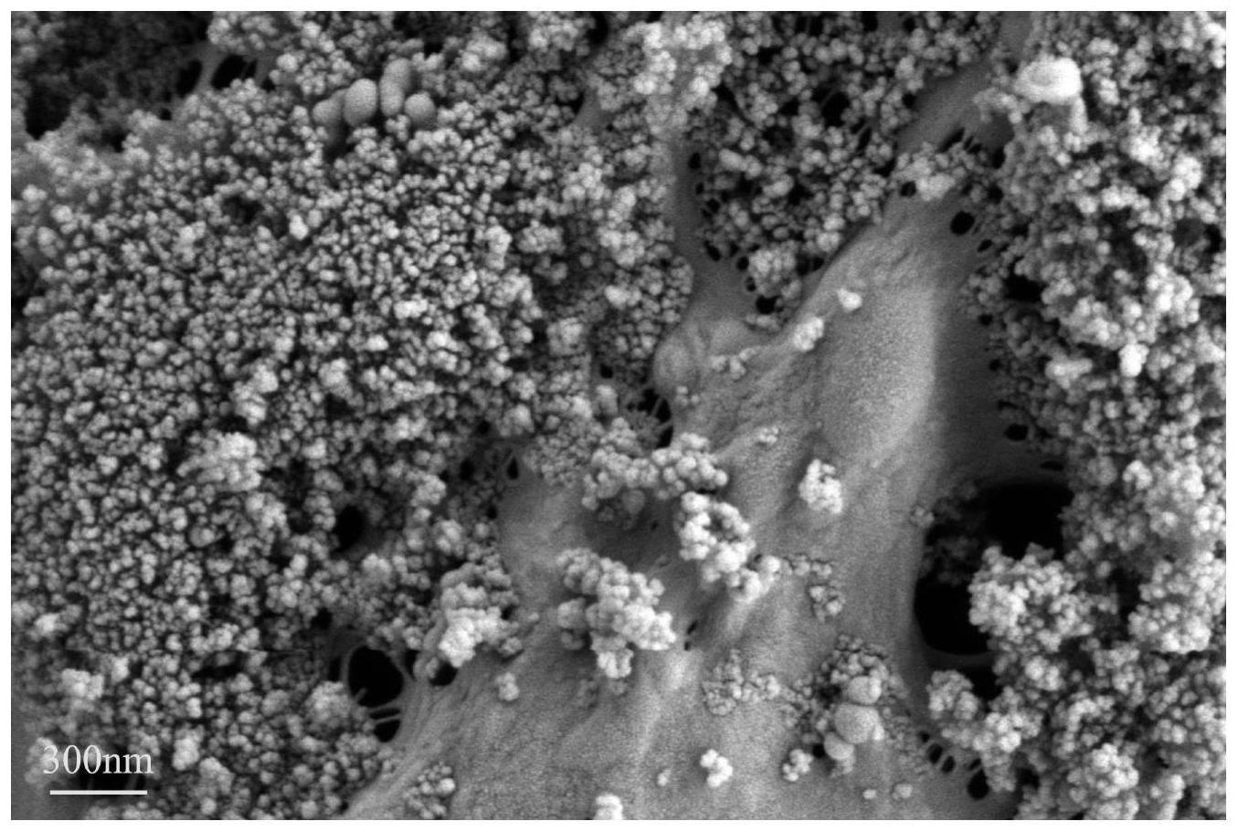 负载纳米氧化镍的抗金属腐蚀型炸药及其制备方法