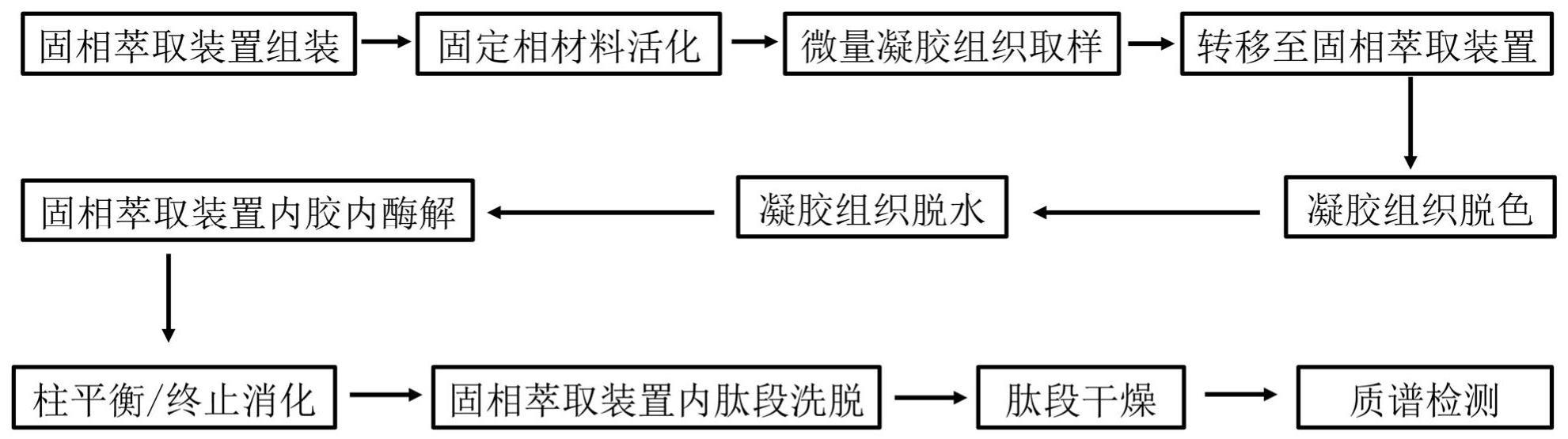 一种用于处理生物样品以鉴定其中蛋白质的方法与流程