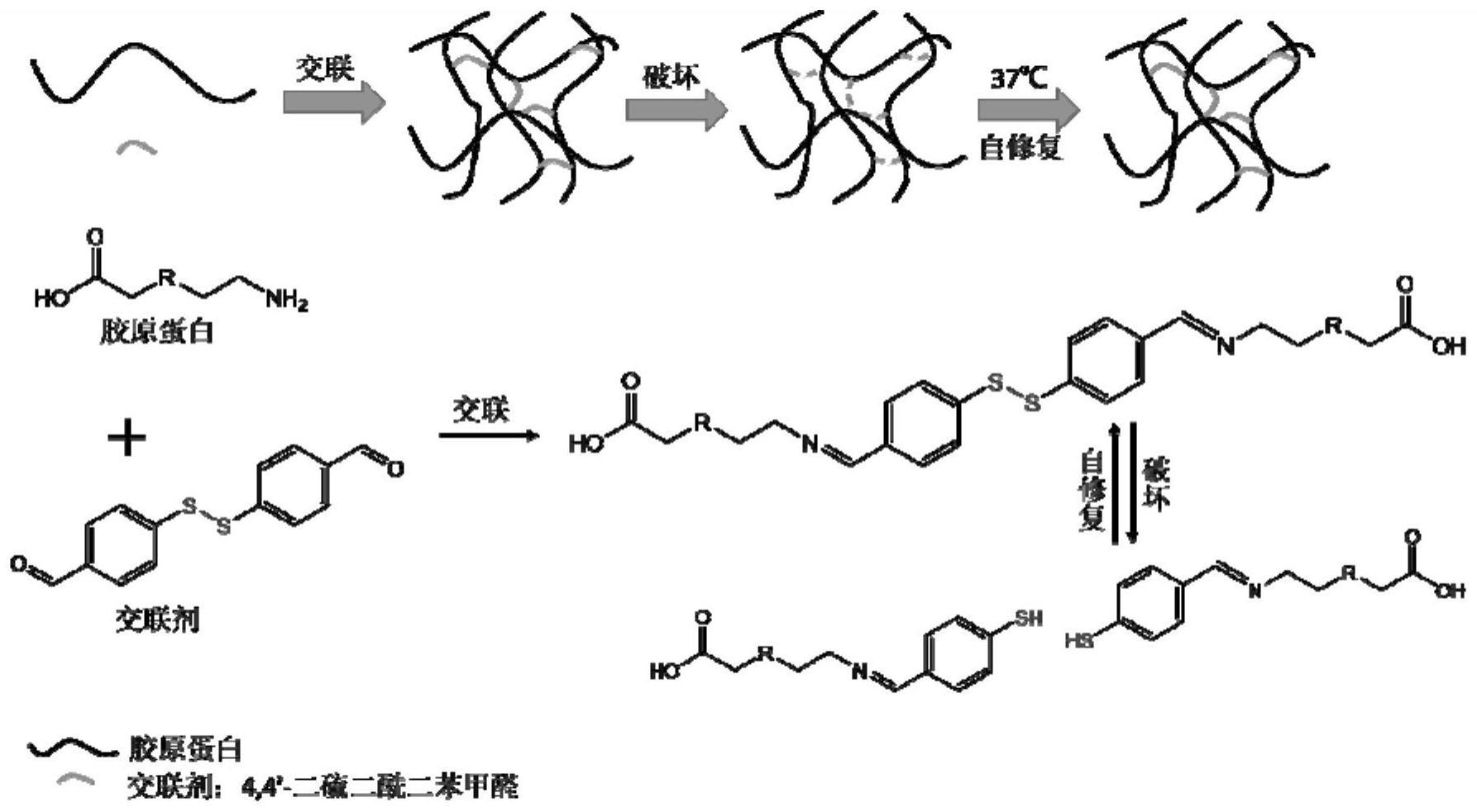 一种自修复羟基磷灰石的制作方法