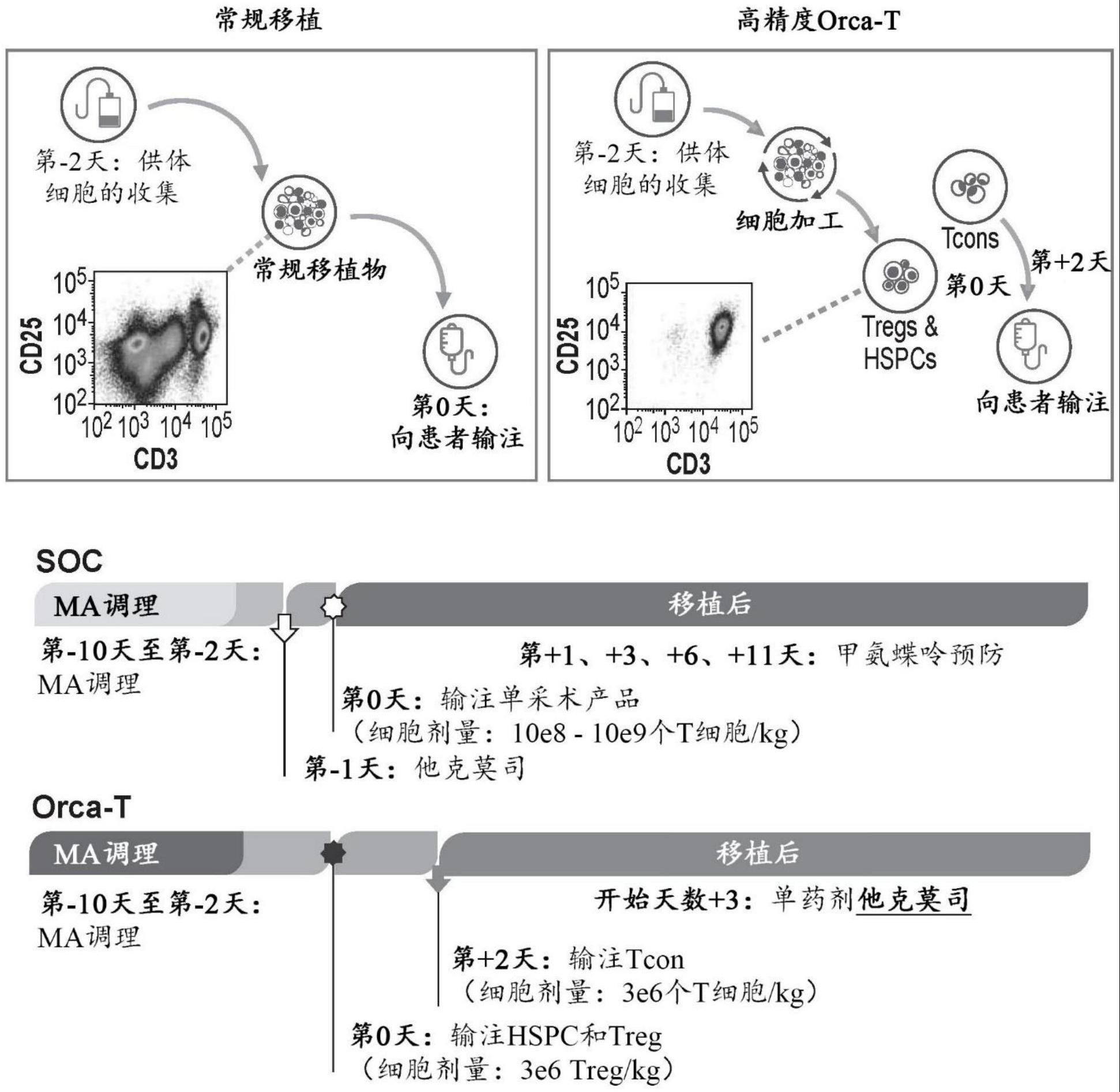 用于异基因造血干细胞移植的方法与流程