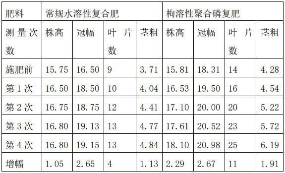 利用低品位磷矿制备枸溶性聚合磷复肥的方法与流程