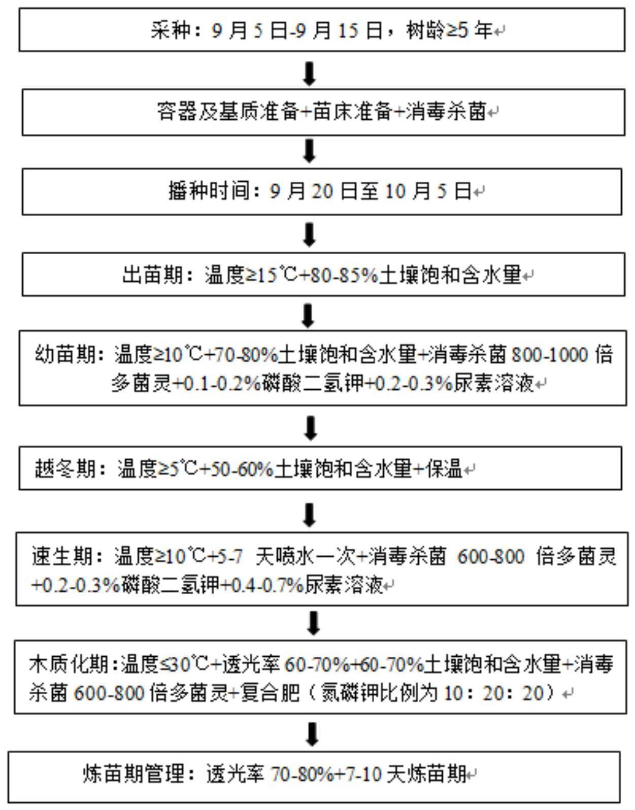 一种濒危植物盐桦种子的温室育苗方法与流程