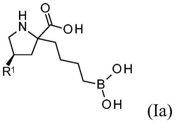 精氨酸酶抑制剂及其使用方法与流程