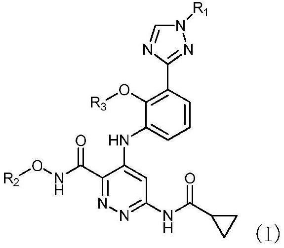 取代的哒嗪-3-甲酰胺化合物作为TYK2抑制剂的制作方法