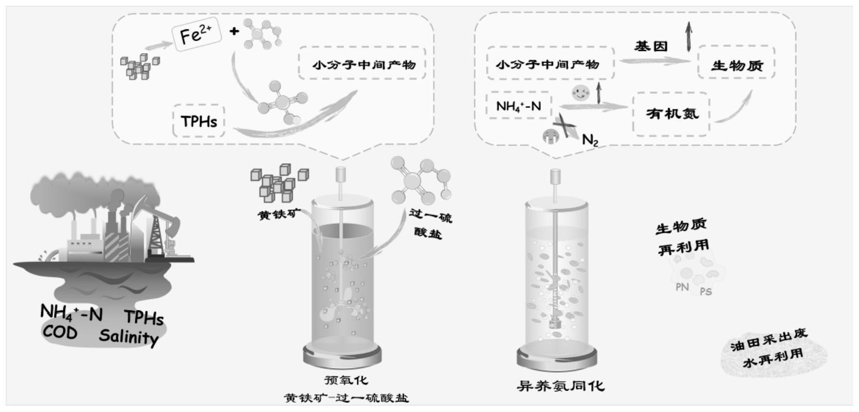 一种天然黄铁矿活化过一硫酸盐预氧化耦合异养同化菌群深度处理高盐油田采出水方法