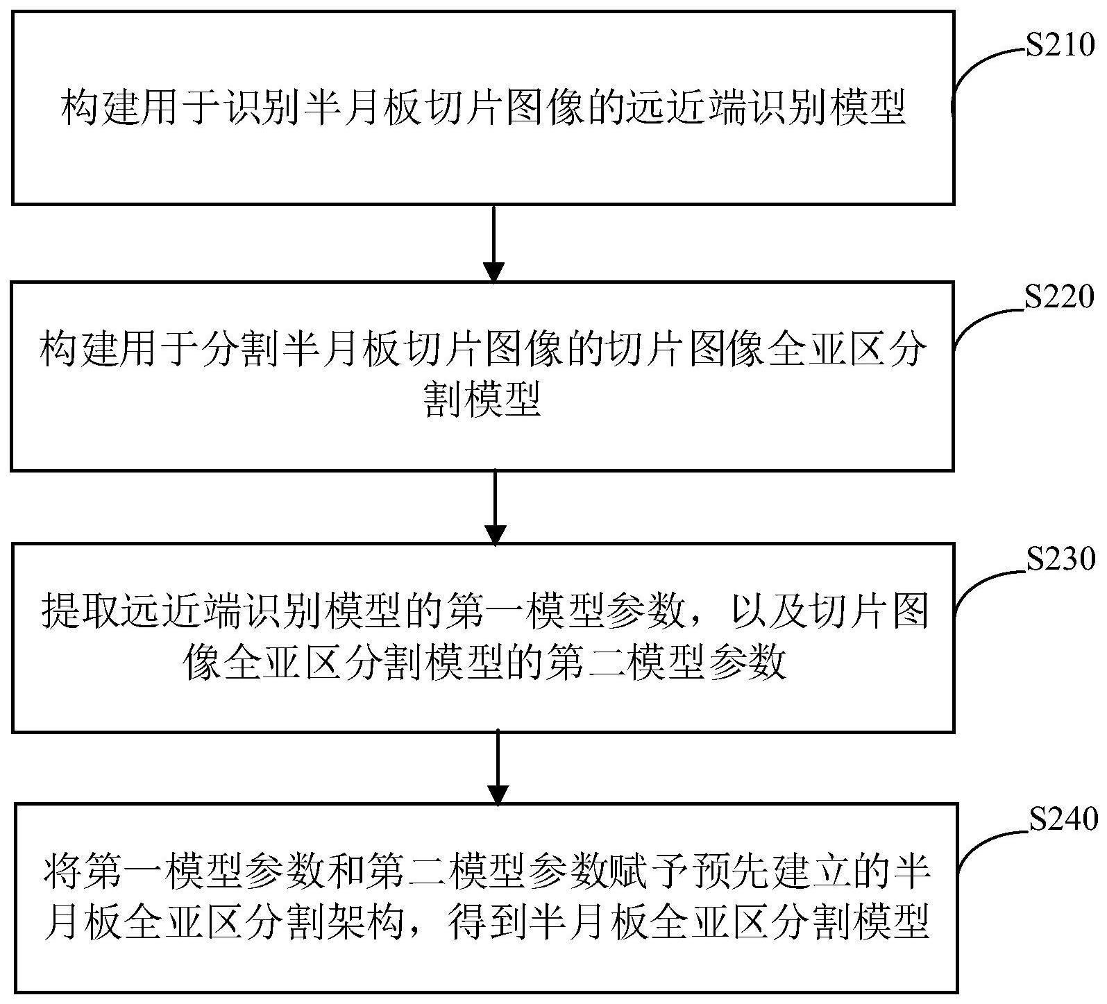 一种半月板图像的亚区分割方法及装置