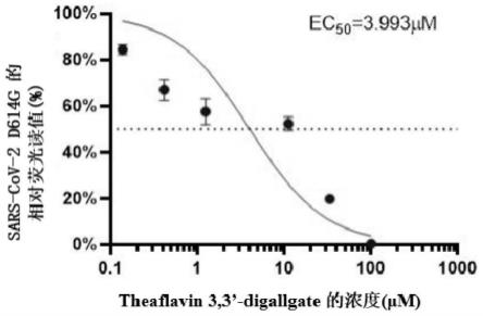 茶黄素类用于预防或治疗冠状病毒感染的用途的制作方法