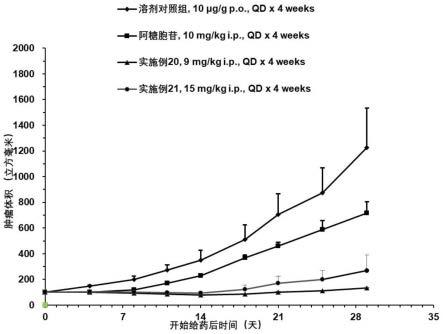 多取代噻唑衍生物及其在疾病治疗中的应用的制作方法