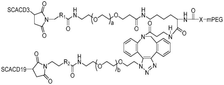 具有CD3和CD19双重特异性的聚乙二醇化T细胞衔接器的制作方法