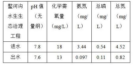 一种微污染河流人工湿地治理系统