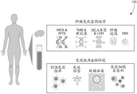 用于癌症免疫疗法的综合生物标志物的制作方法