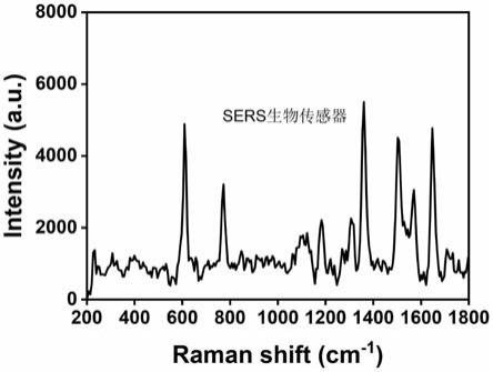 基于碳三氮四纳米片的SERS生物传感器及其制备方法和应用