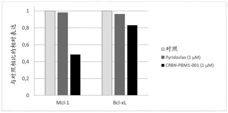 用于癌症治疗的BCL-2家族蛋白调节化合物