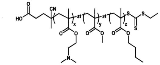 含核酸与阳离子共聚物的复合物的纳米粒子及其制备方法、用于基因转移至细胞中的用途与流程