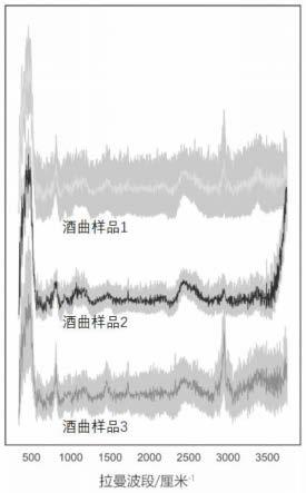 一种基于菌群拉曼特征快速识别样品类别的方法