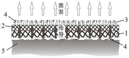 一种速导速干微孔细绒涤纶织物及其制备方法与流程