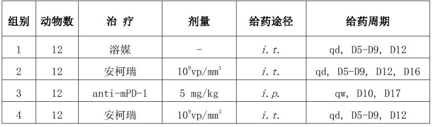 溶瘤病毒和免疫相关药物在协同抑制实体瘤中的应用的制作方法