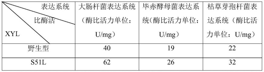 一种耐热木糖苷酶突变体及其制备