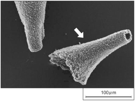 氮化硼粒子、树脂组合物及树脂组合物的制造方法与流程