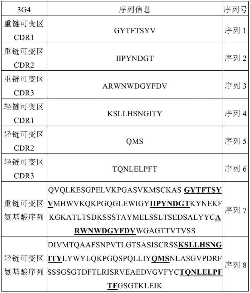 靶向BCMA的嵌合抗原受体及其用途的制作方法