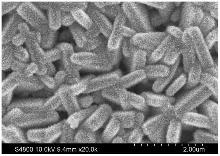 一种在FTO上生长的氧化钨基光电催化材料、制备方法及其应用