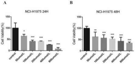 1,8-桉树脑在防治非小细胞癌NCI-H1975中的新用途