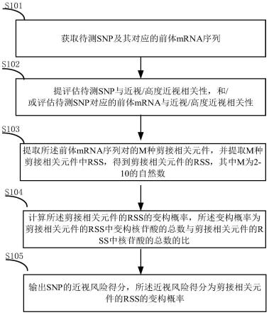 一种预测近视/高度近视相关SNP风险的方法、系统和设备与流程