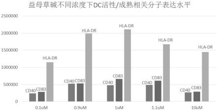 一种用于提高多发性骨髓瘤患者的DC细胞活性的培养基及其培养方法