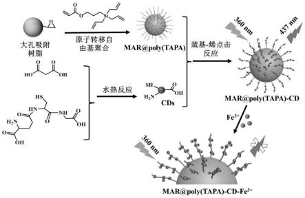 一种用于痕量检测与吸附Fe的制作方法